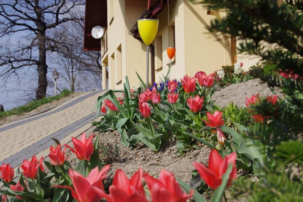Apartament Zacisze Ustroń Eksteriør billede
